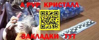 прущие грибы Тверь
