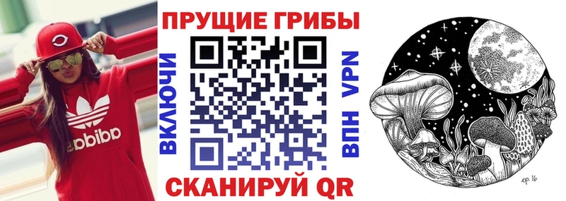 Псилоцибиновые грибы Psilocybine cubensis  Раменское 