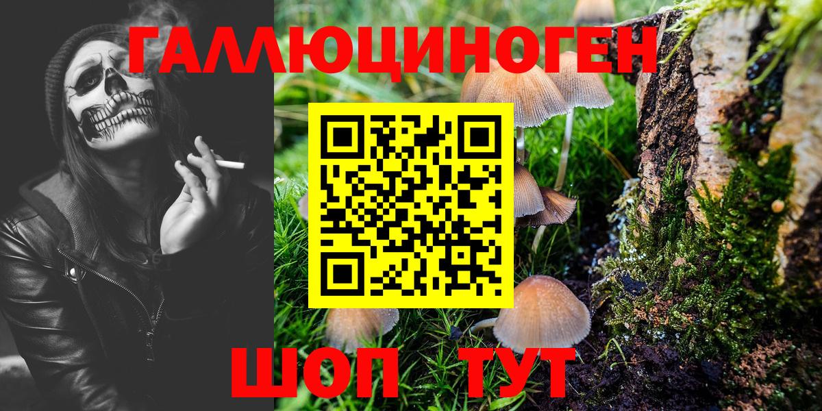 Псилоцибиновые грибы Psilocybine cubensis  Псилоцибиновые грибы Psilocybe  дарнет шоп  Раменское  Вход с VPN 